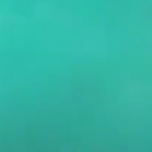 Meet your Posher, Elise